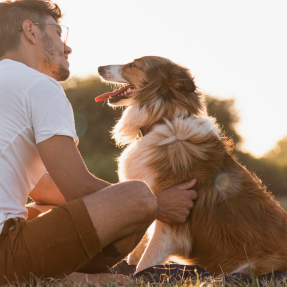 Pet Supplements